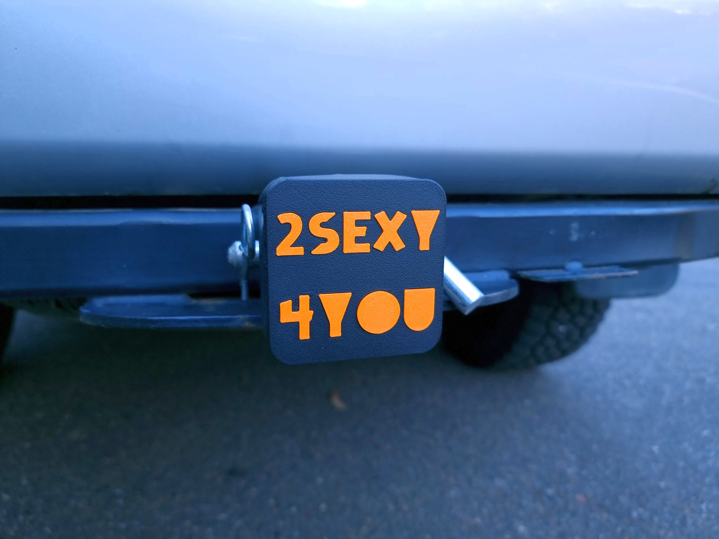 Trailer hitch tow receiver cover cap funny 2sexy4you custom protector